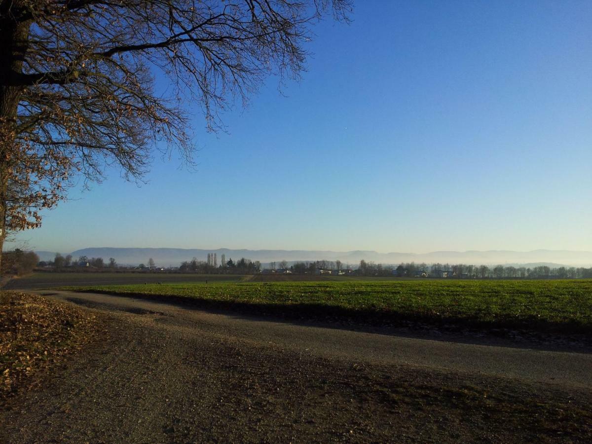Schoenbuchjuwel Walddorf  エクステリア 写真